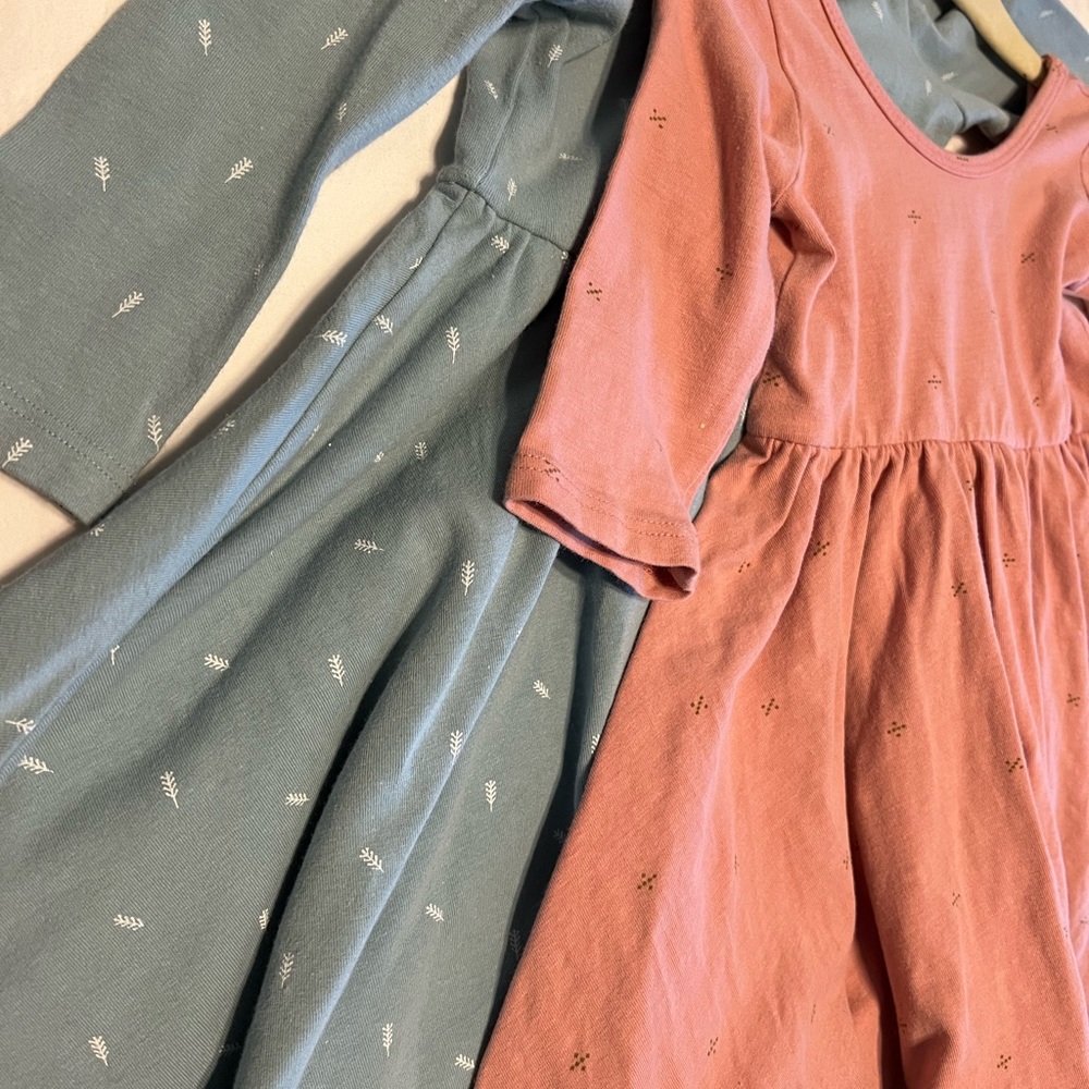 Alice + Ames winterberry ballet dress size 3 EUC